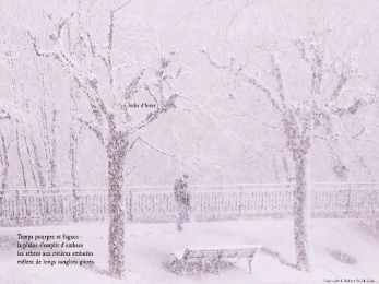 Quai Capo d'Istria, Genève. Un homme dans la neige. Poème à l'hiver.