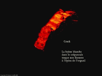 Buche éclairée par un lampadaire, Ovronnaz, Valais. Poème sur la drogue.