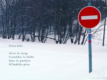 Panneau de sens interdit, Mont Salève, Haute-Savoie. Poème sur le suicide.