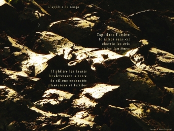 Labours à Cudrefin, canton de Neuchâtel. Poème aux champs des hommes.