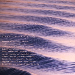 Vague du paquebot sur le fjord, Juneau, Alaska. Poème à la vie.