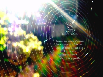 Toile d'araignée en contre-jour. Poème sur les illusions de la drogue.
